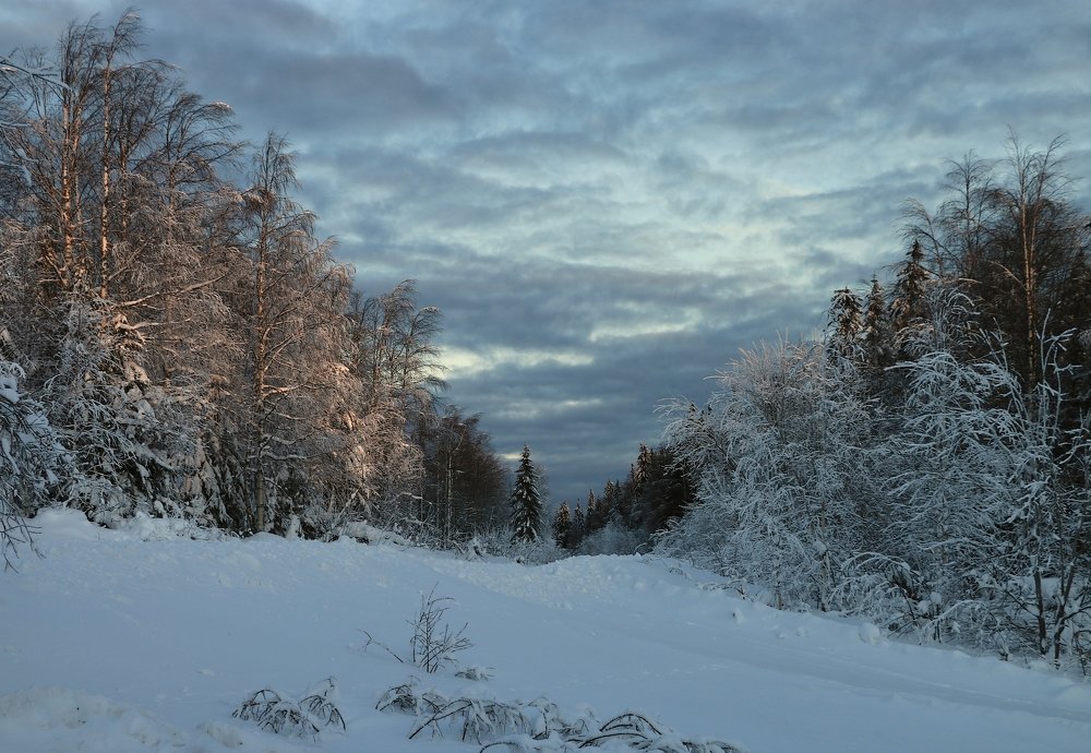 Дорога на Колпаки