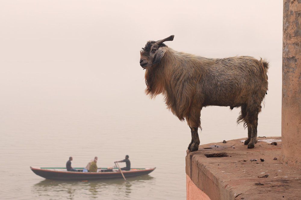Варанасити
