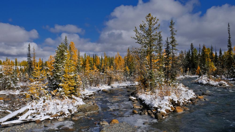 Photograph by Ольга Челдыкова