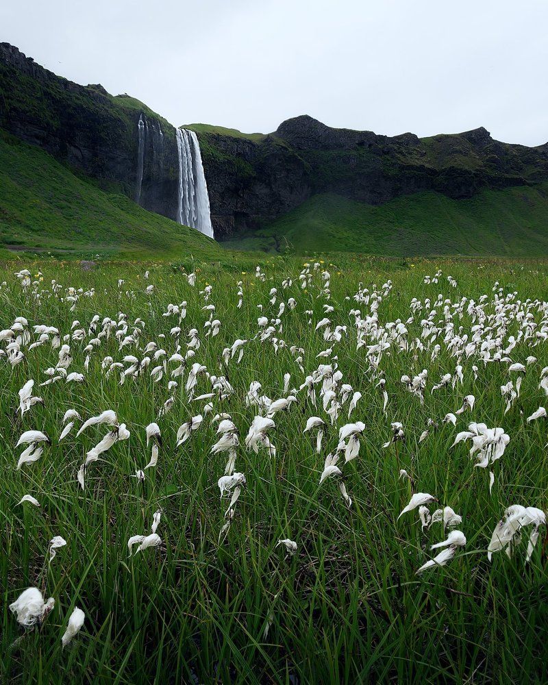 Серия о Seljalandsfoss