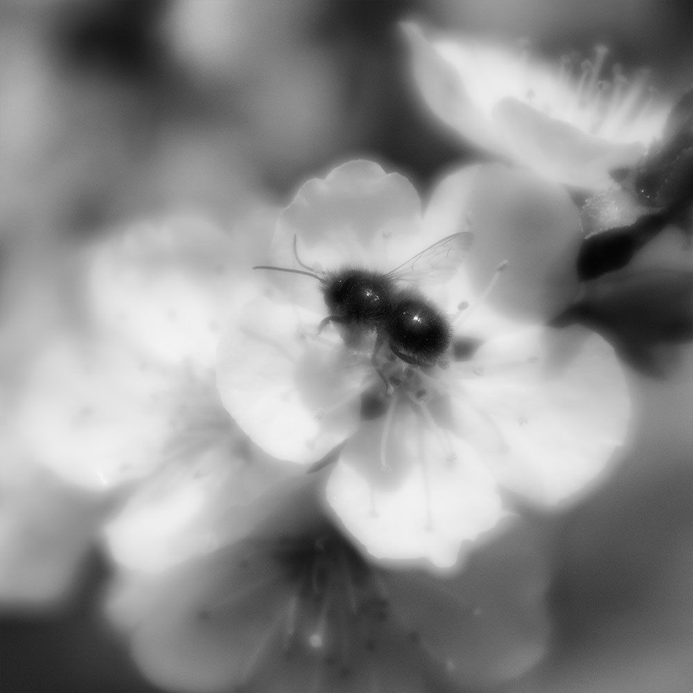 Фотография автора Игорь Баранов