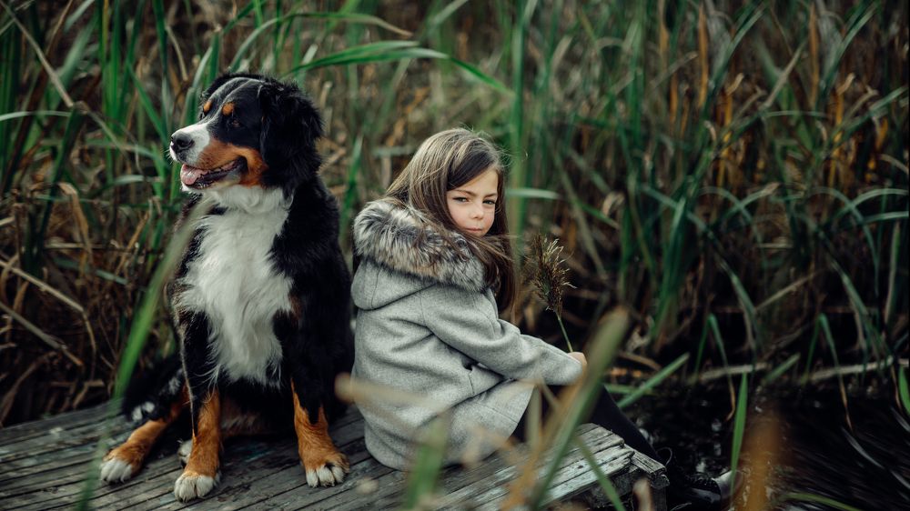 Девочка с собакой