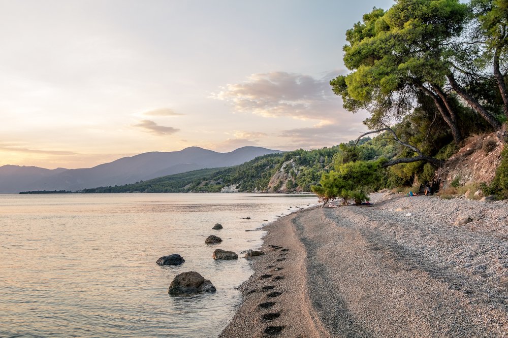 Wild beach, Greece, island of Evia
