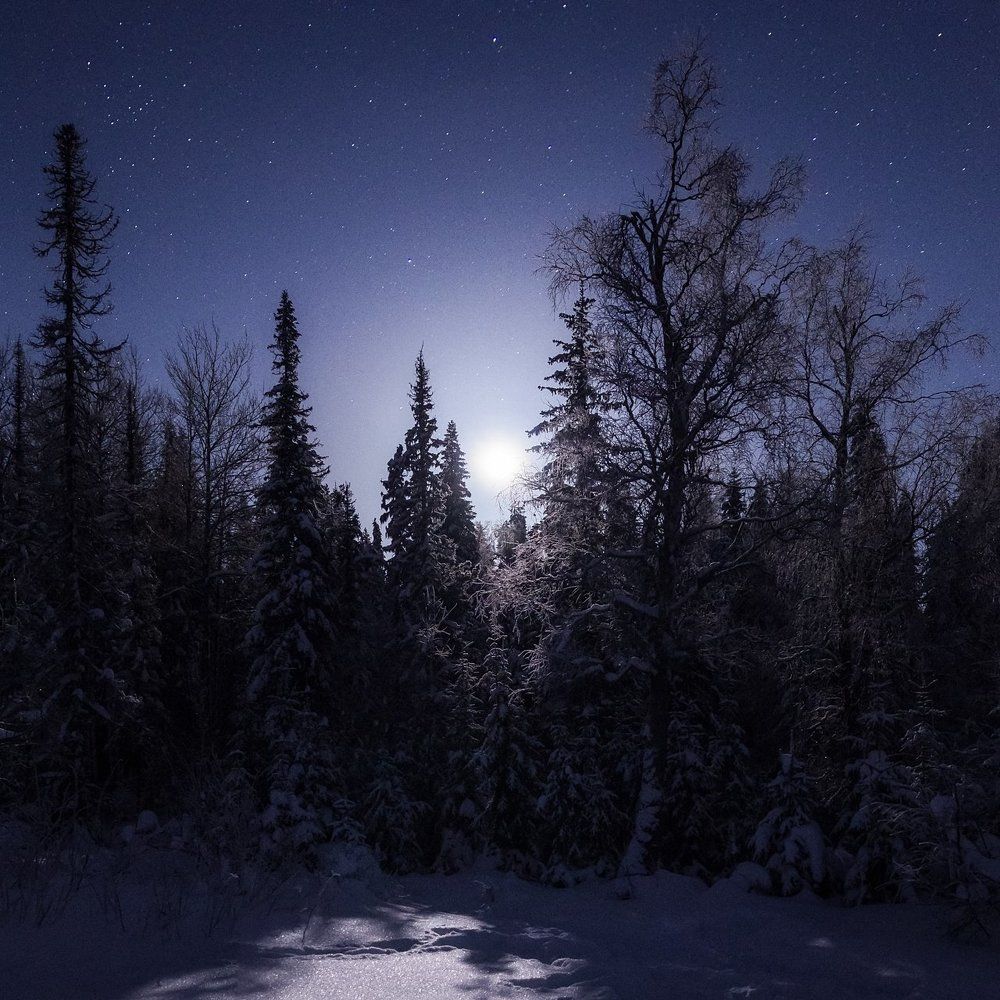 Лунная ночь