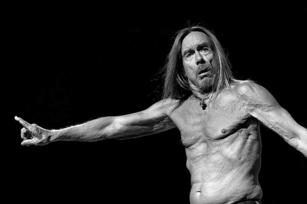 Iggy Pop