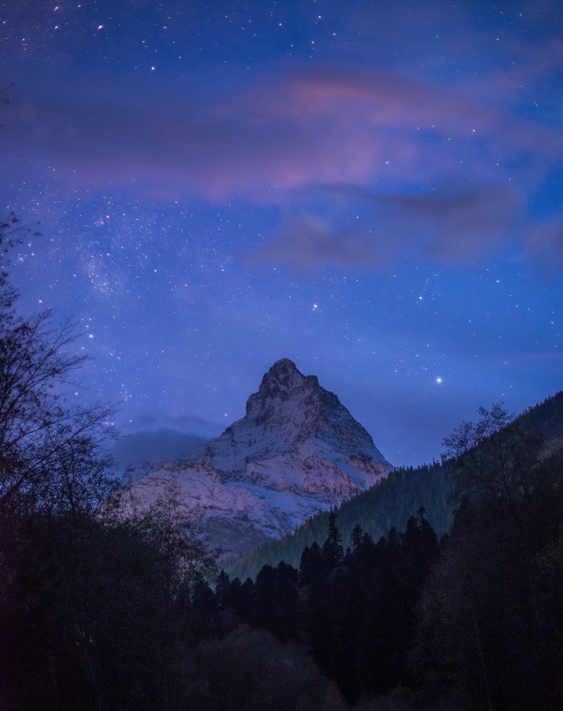 СПЯЩАЯ КРАСАВИЦА БЕЛАЛАКАЯ