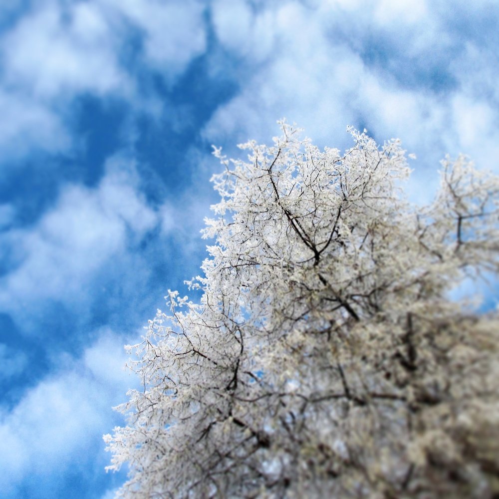 настроение зимы