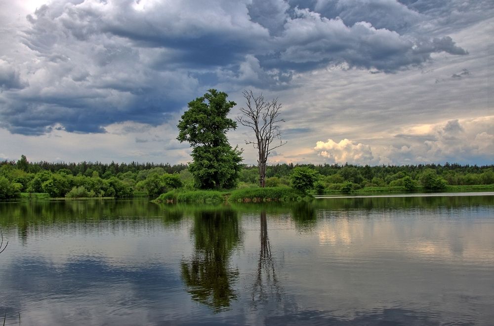 Одиночество