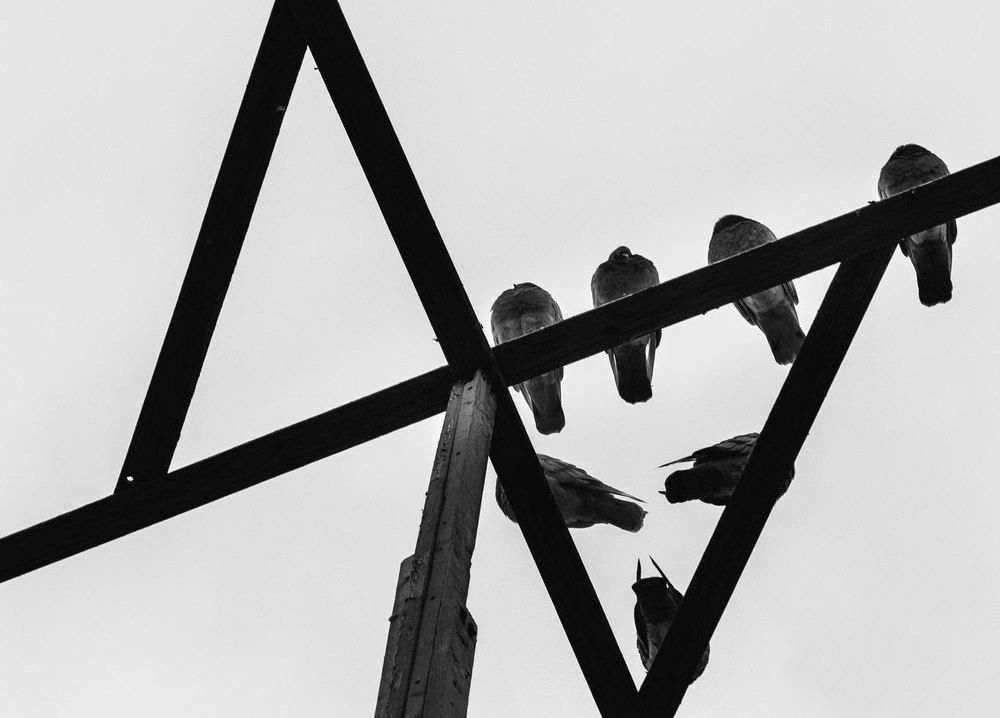 Photograph by Александр Путило