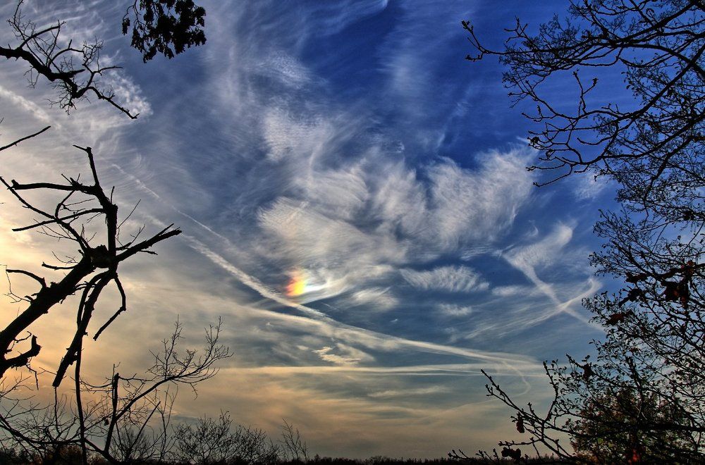 Рисует природа