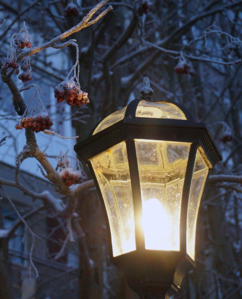 Polar night - polar lights 2