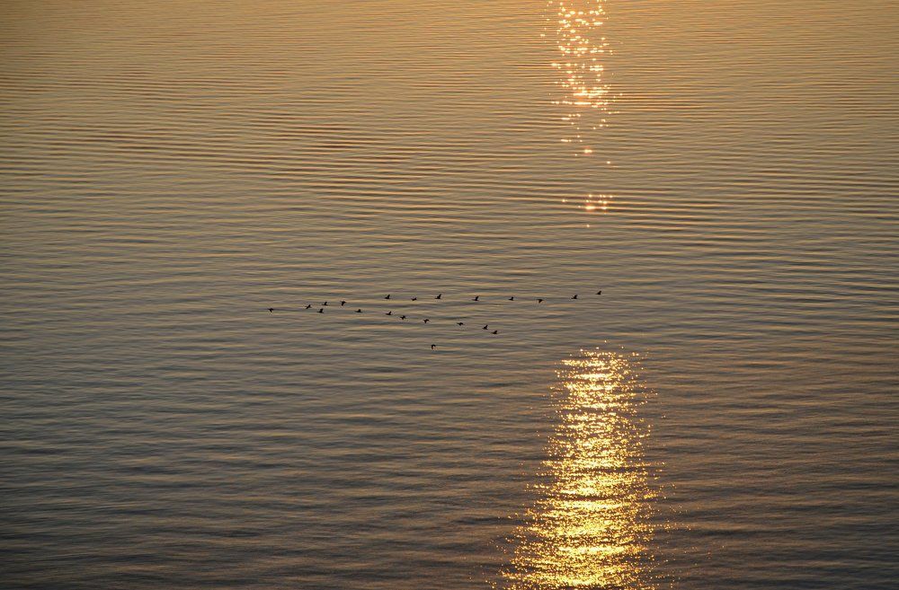 Морской простор.