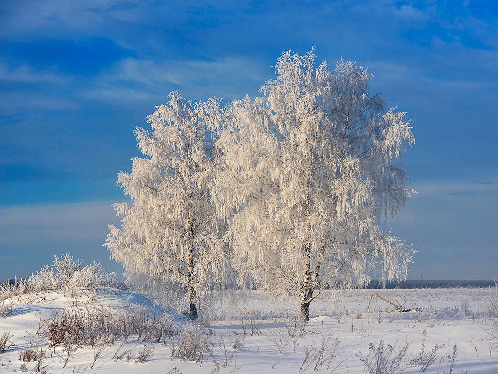 мороз и солнце