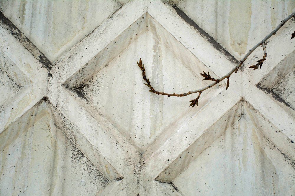 Photograph by Щербакова Галина