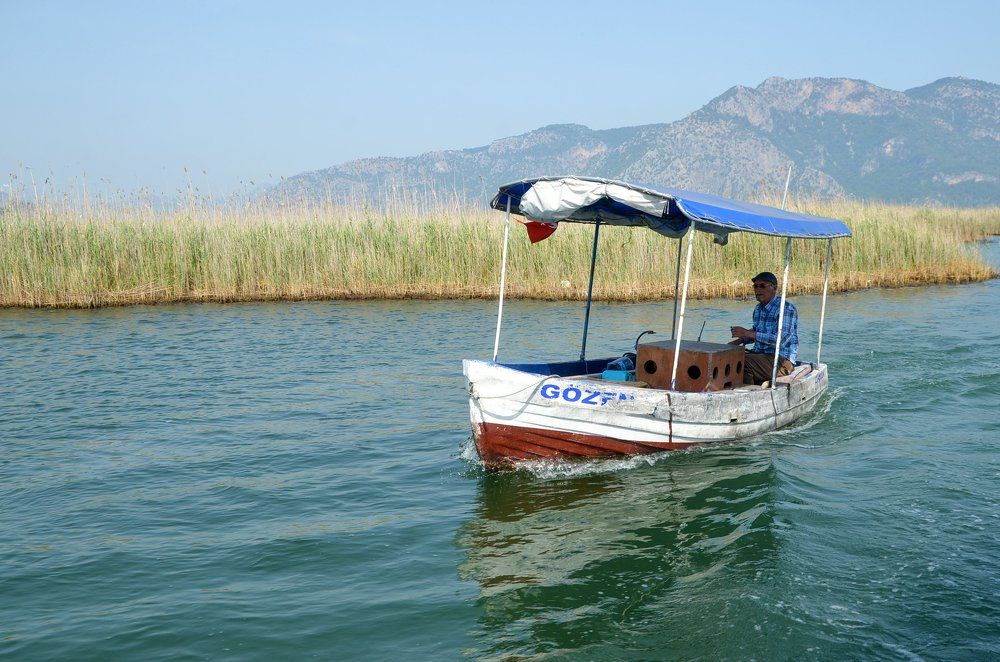 Водитель лодки