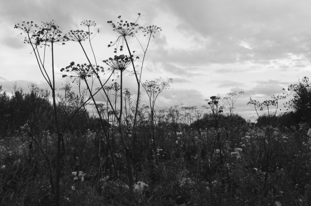 Стражи галактики