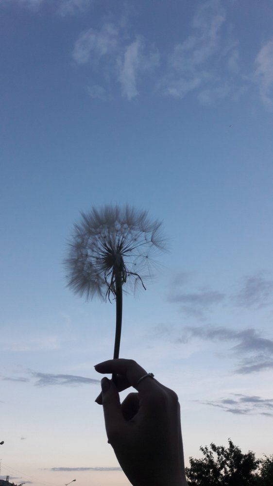 Photo #2109914