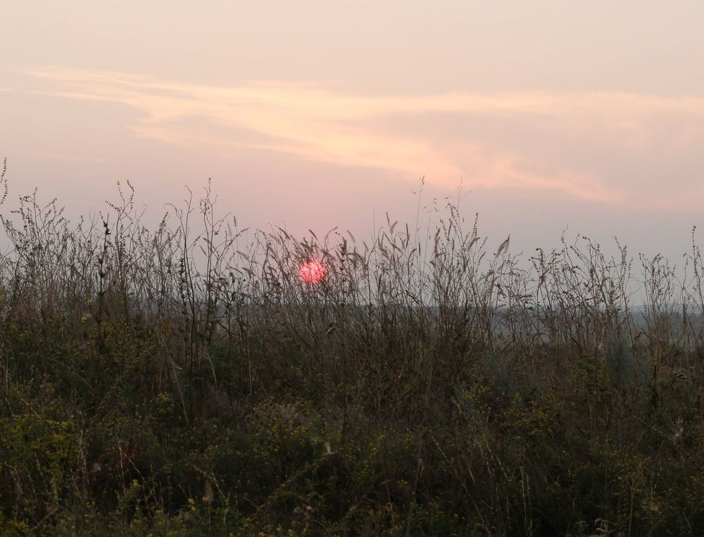 Photograph by Ираида Стародубцева