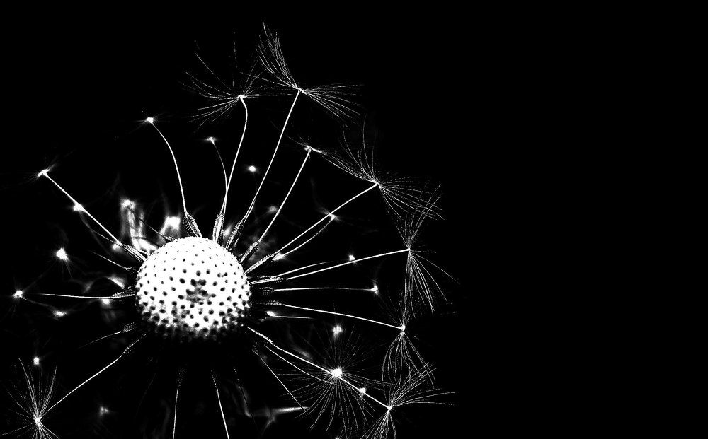 Фотография автора Владислава Андрюнина