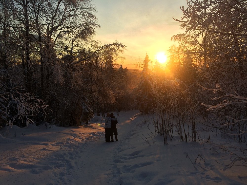 зимняя сказка