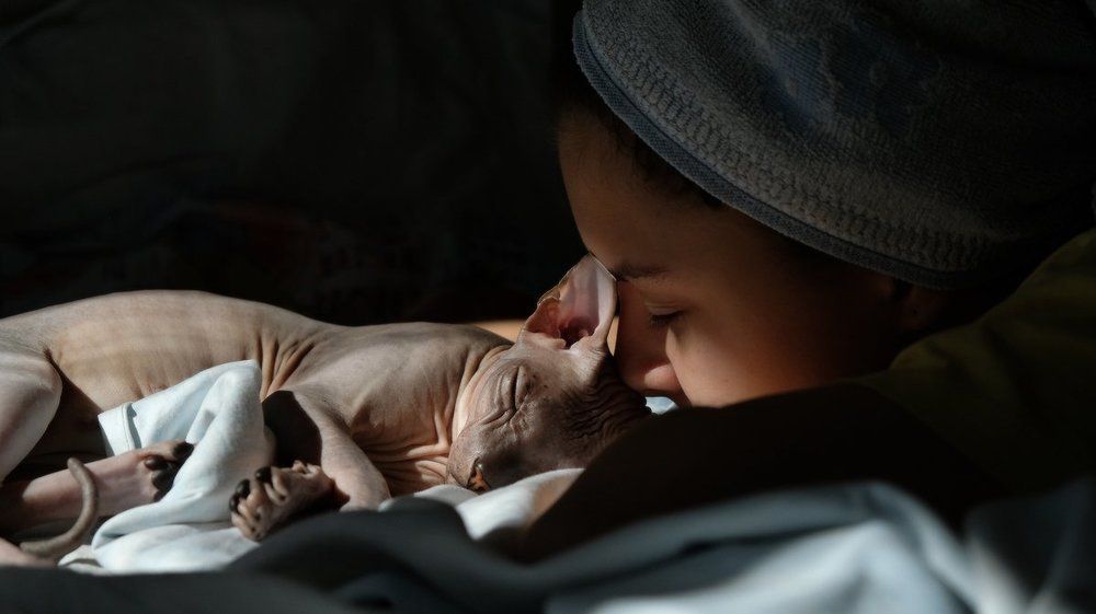 Photograph by Ольга Челдыкова