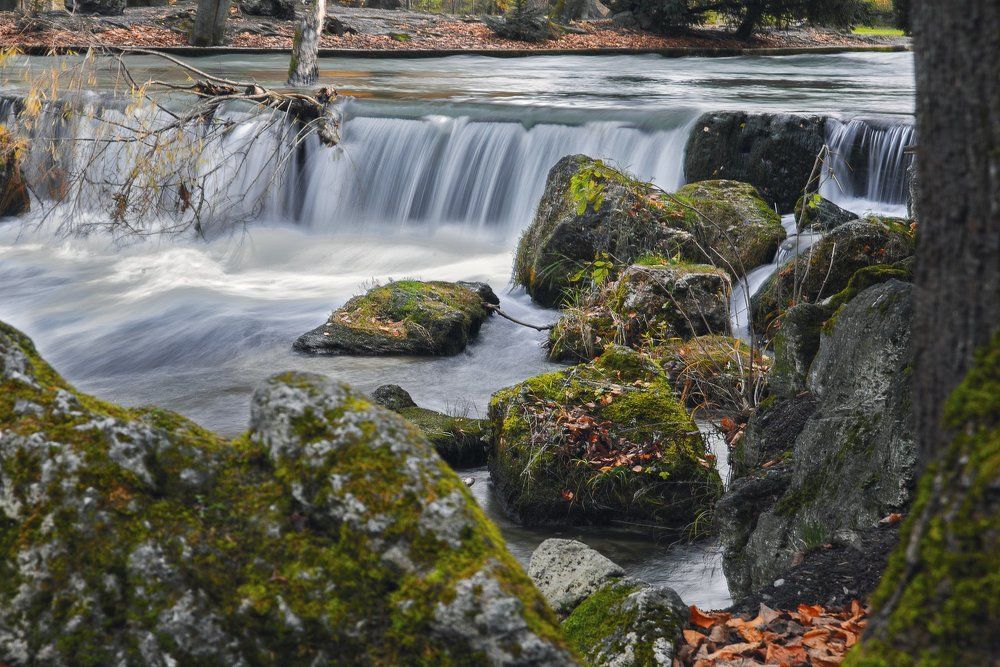 Английский парк в центра Мюнхена