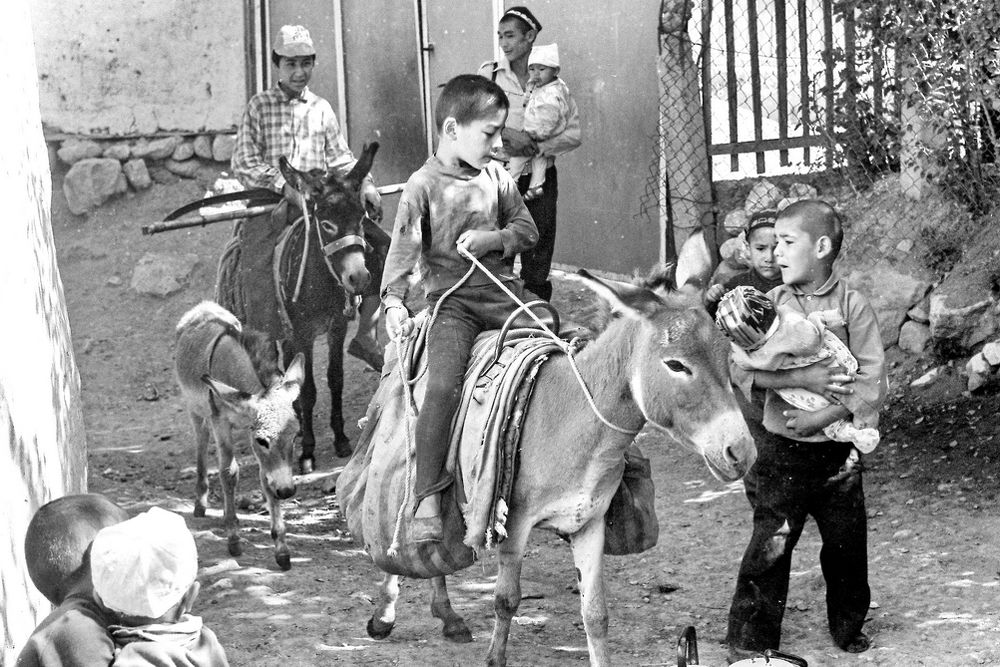 Будущие отцы