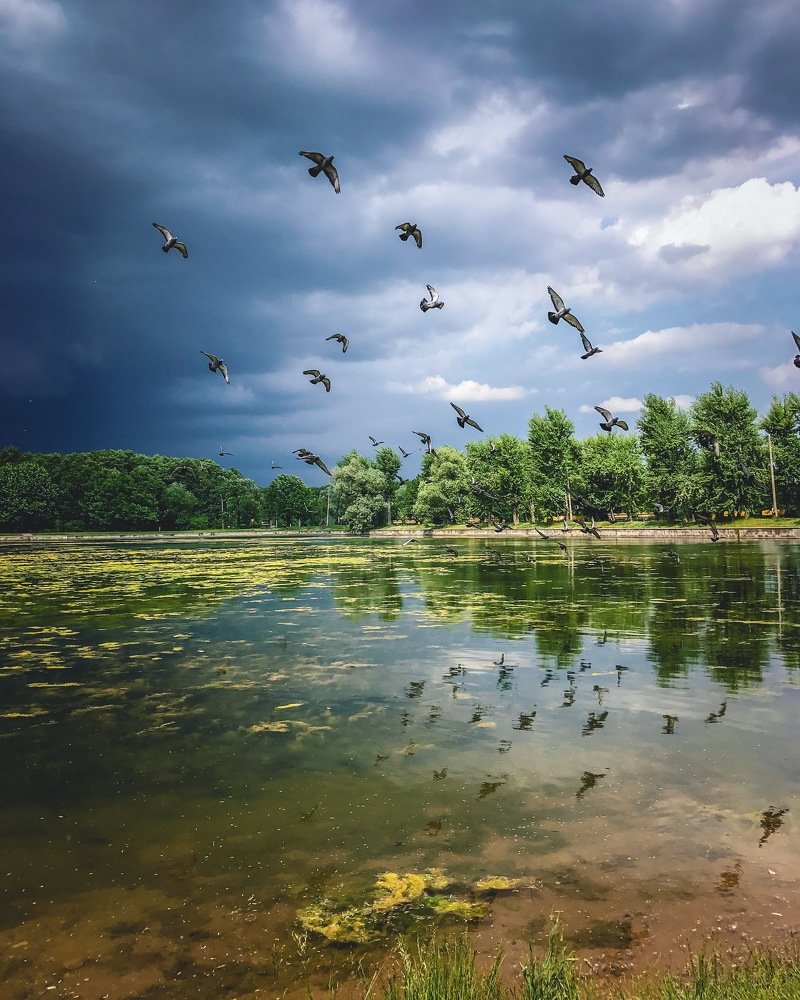 Перед штормом в Москве
