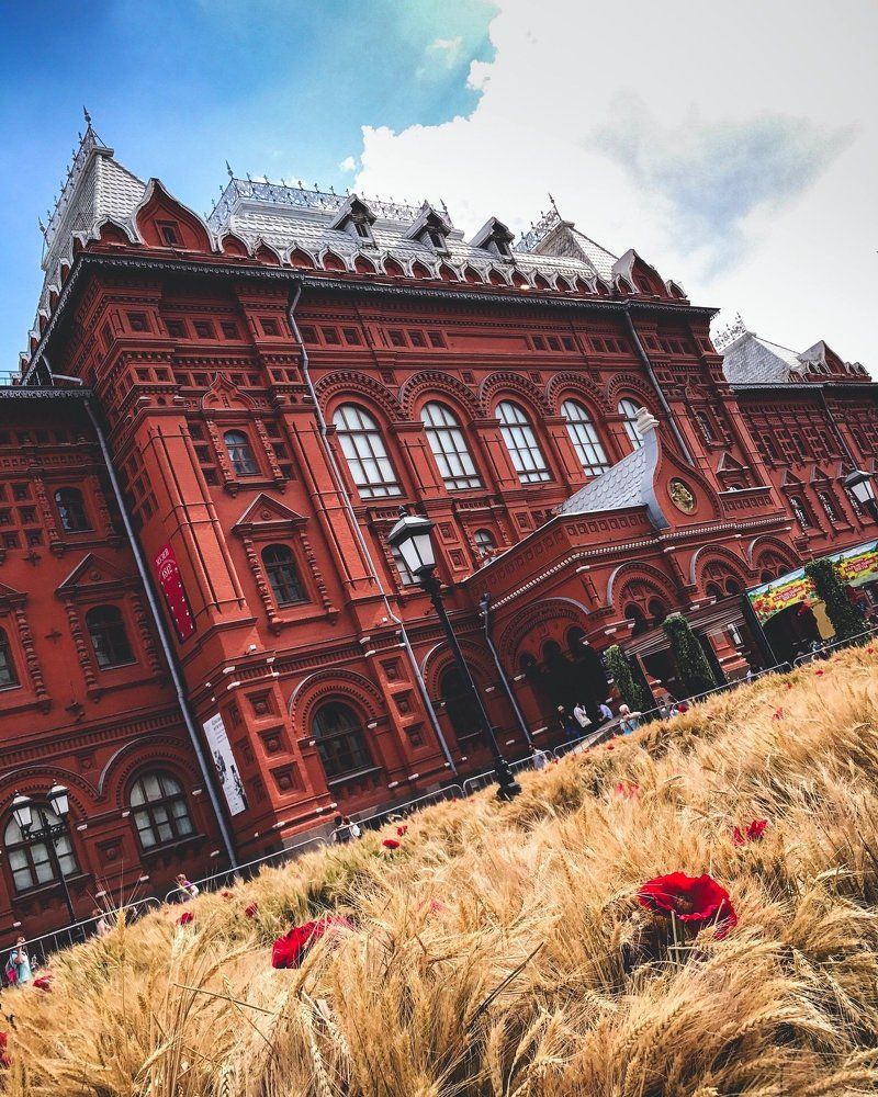 Поле на Красной Площади