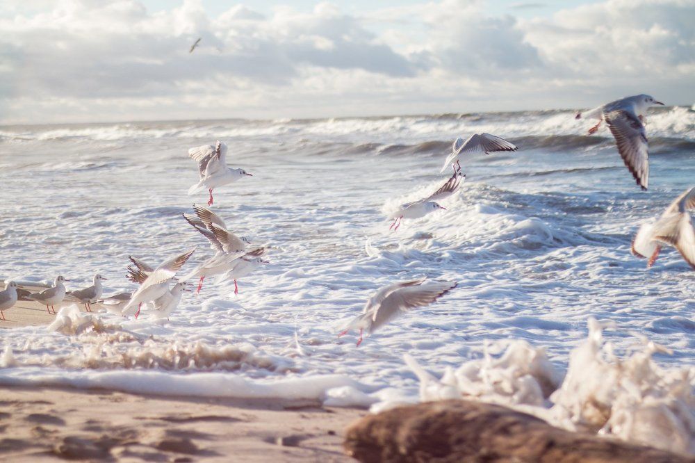 В единении с прибоем