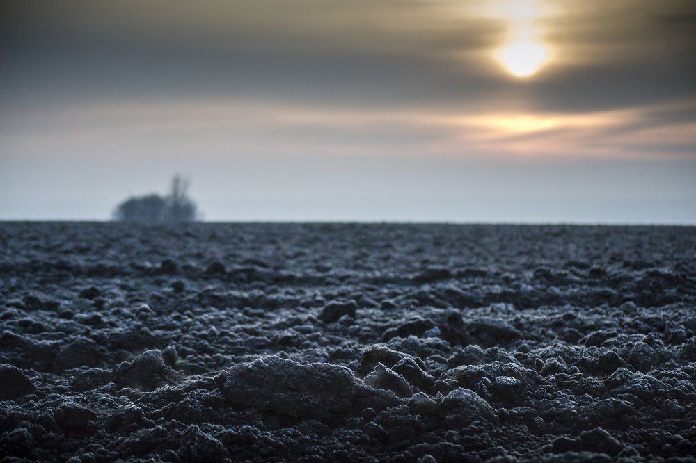 Родная земля