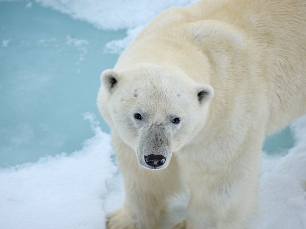 Полюбуйтесь на меня.