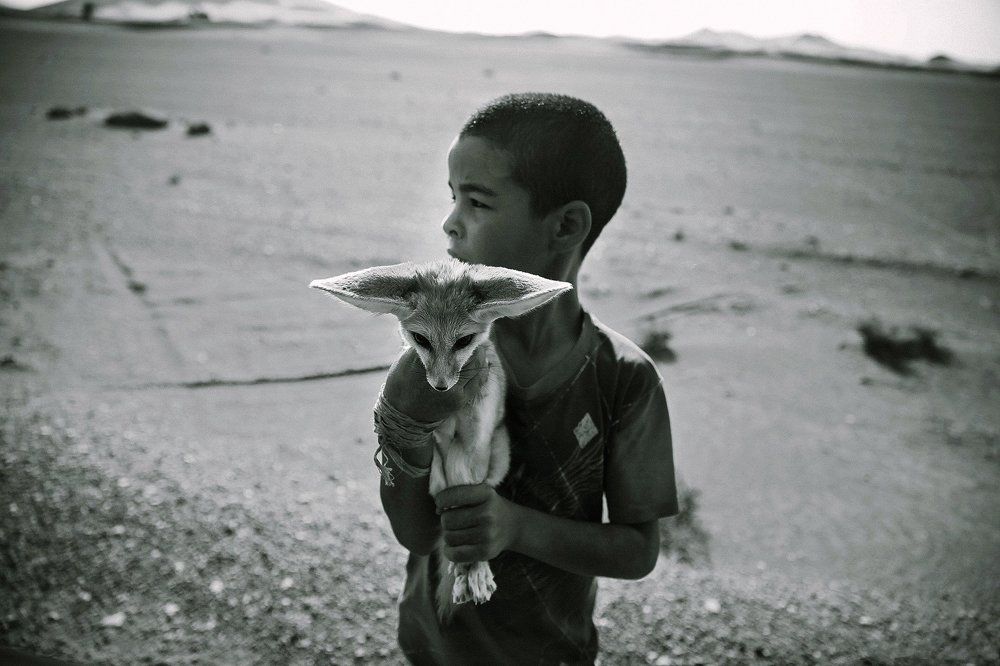 Жизнь пустыни