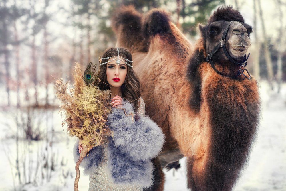 Сказки Шахеризады