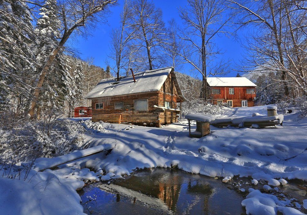 Таежная зима