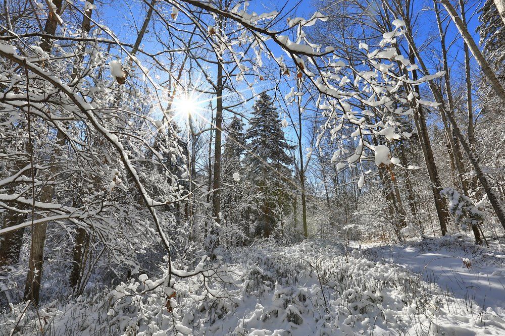 Зимняя гжель
