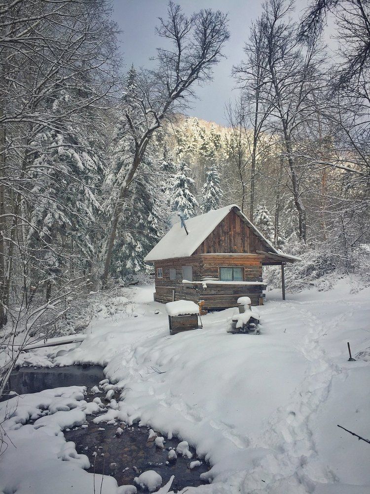 Таежная банька