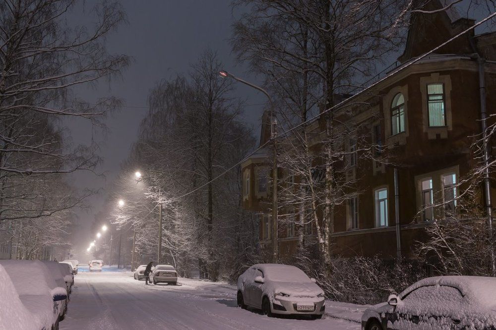 Зимний Петергоф