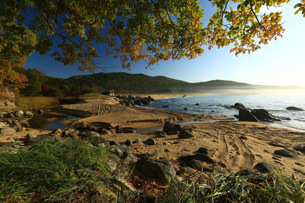 Морское утро