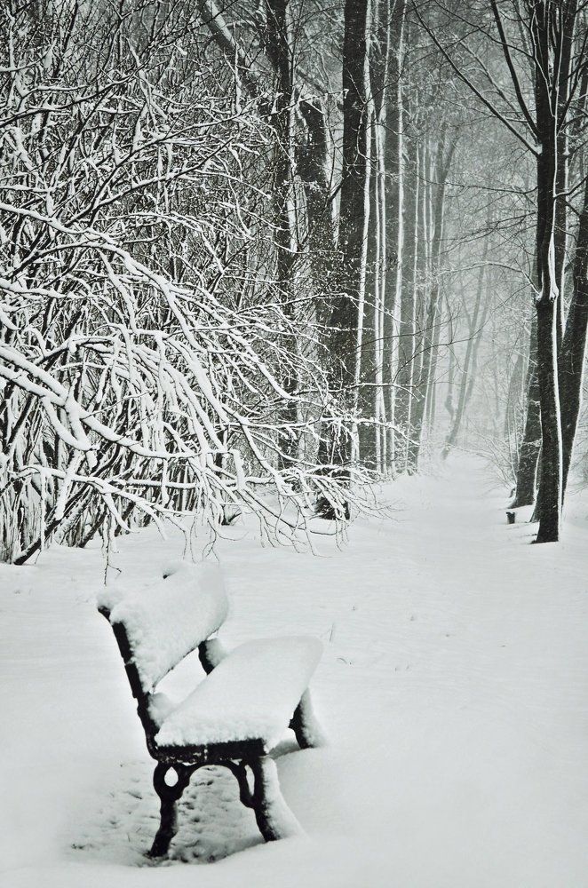 Photograph by Anna Saltykowa