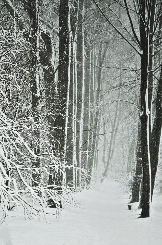 Photograph by Anna Saltykowa