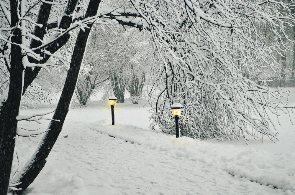 Photograph by Anna Saltykowa