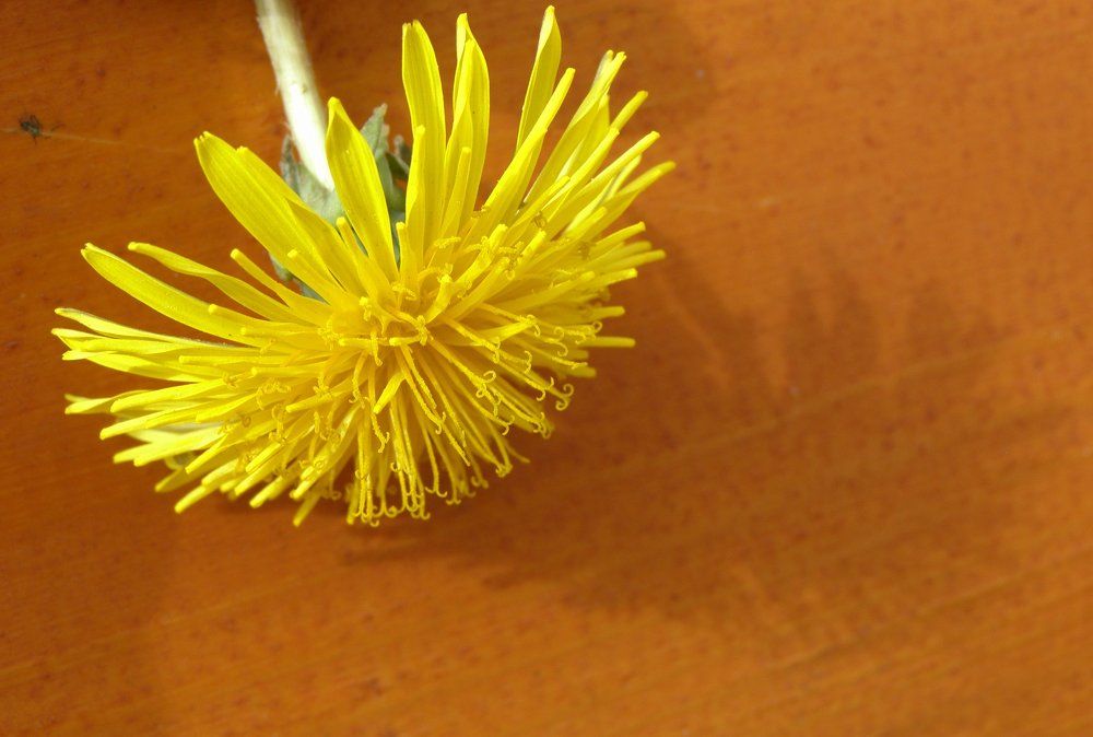 Кусочек тепла