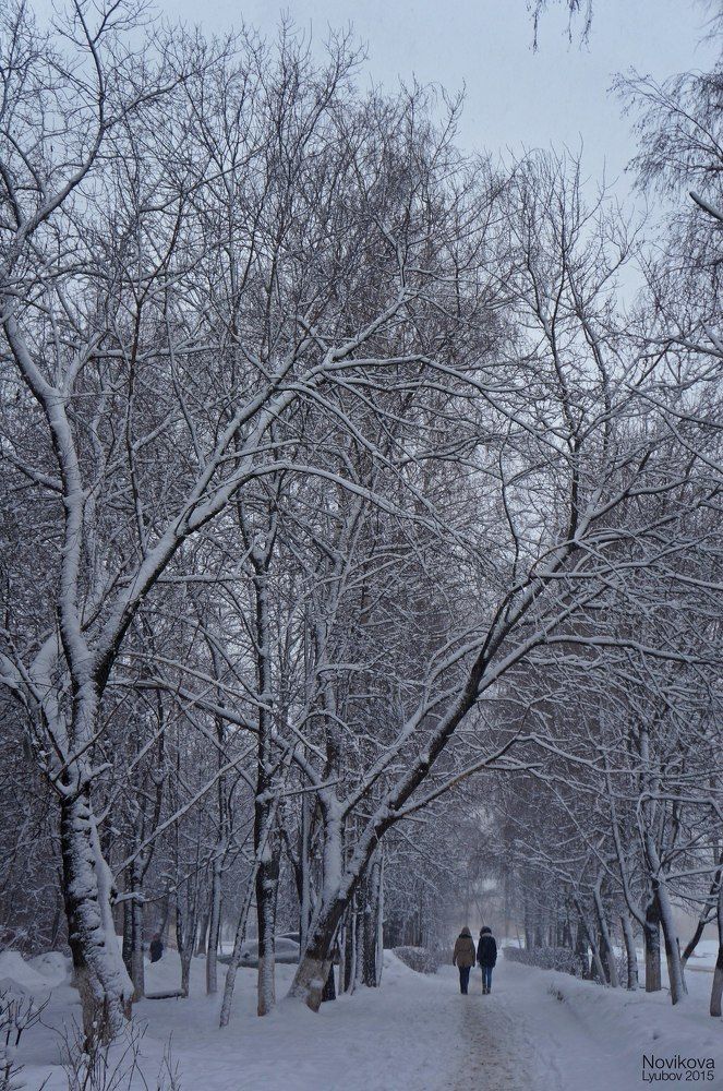 Зима-подруга