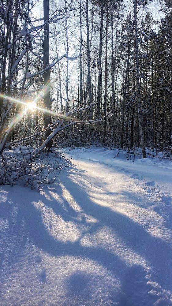 Photograph by Дмитрий