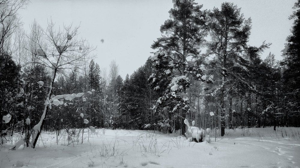 Photograph by Дмитрий