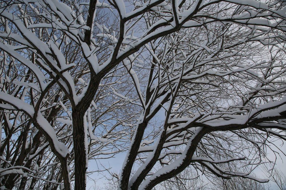 Короткий декабрьский день