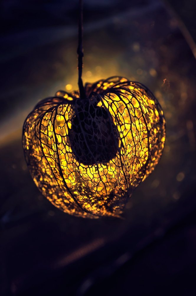 Photograph by Тараненко Анжелика