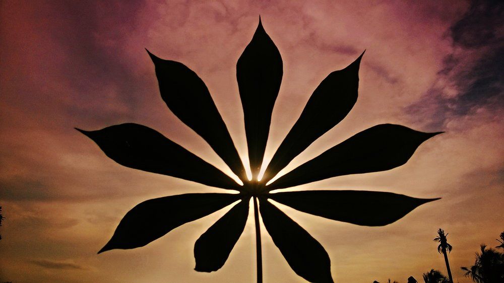 Good Evening Nature
