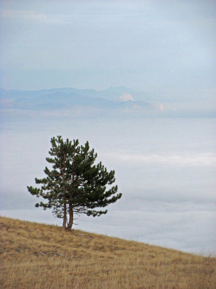 На краю